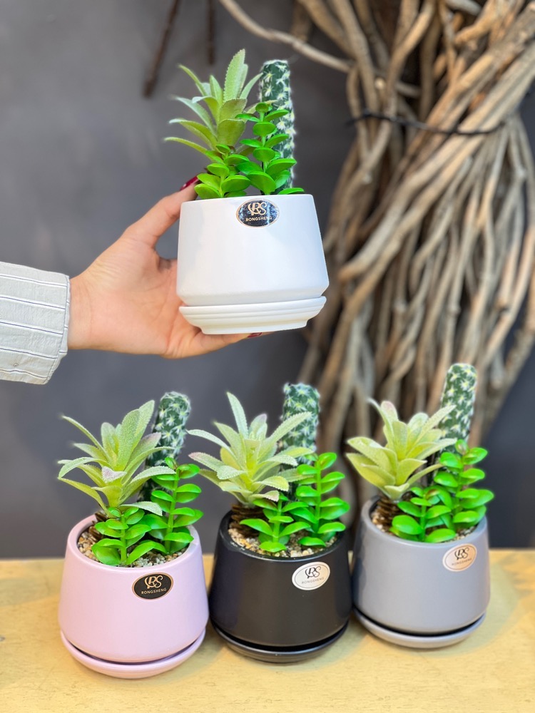 گلدون مصنوعی کاکتوس(5846)