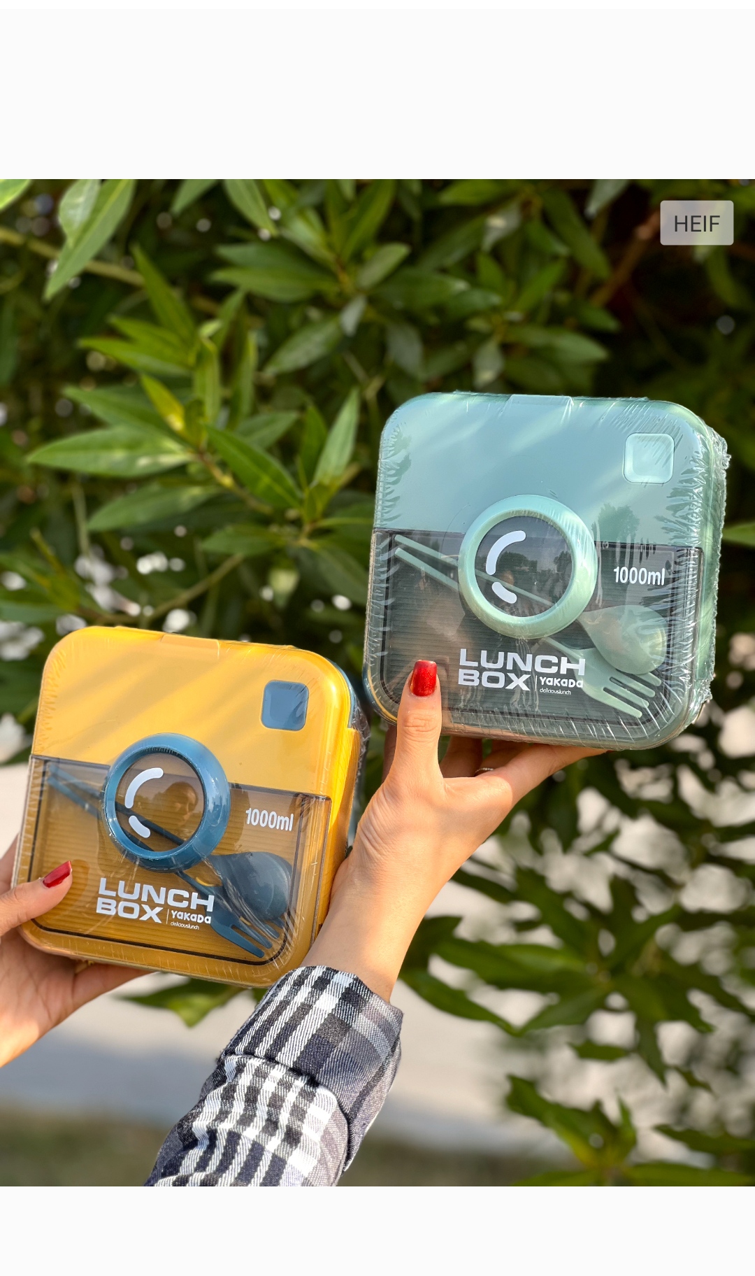 لانچ باکس دوقسمتی مربع(5347)