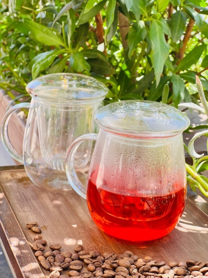 ماگ دمنوش پیرکس(5520)