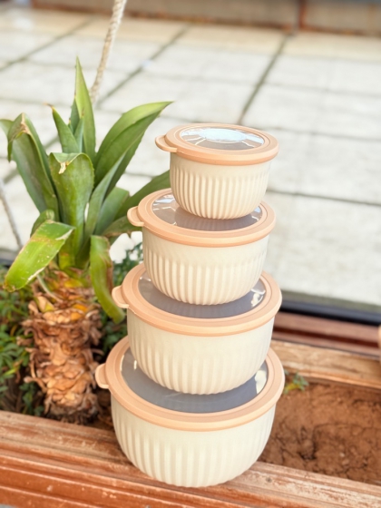 ست ظرف نگهدارنده گرد بزرگ(7518)