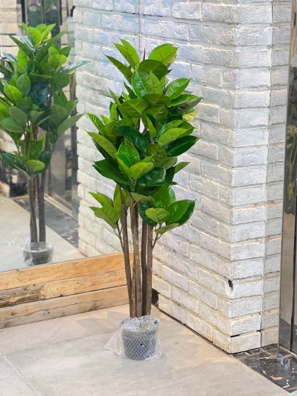 درخچه سبز(7293)